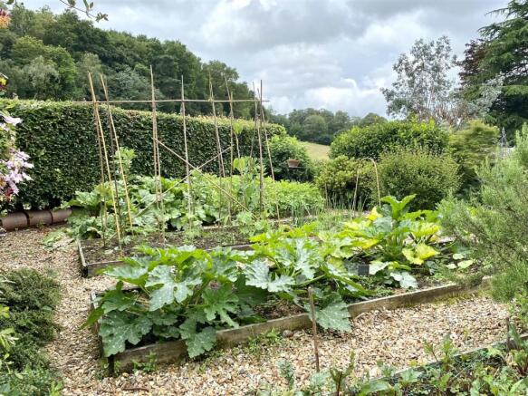 Veg Garden & View.jpeg