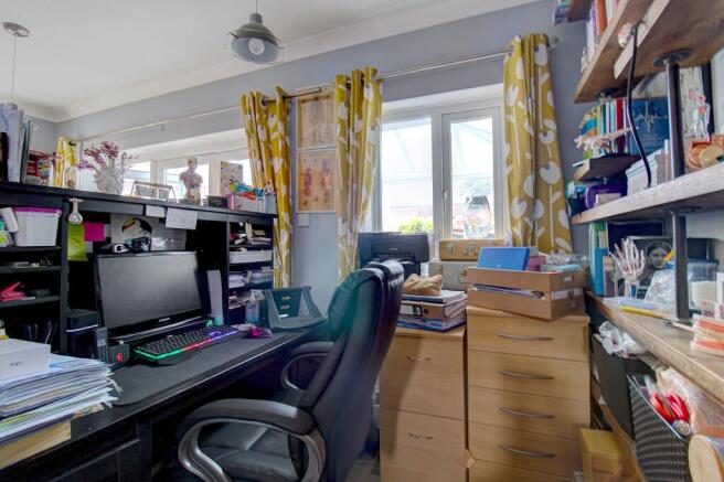 Study Area