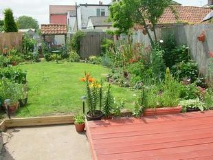 Photo 10