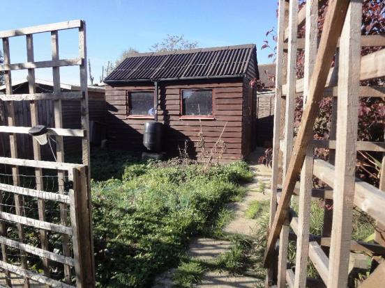 Veggie Patch & Shed