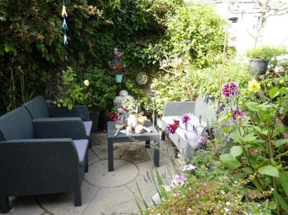 garden pic2.JPG