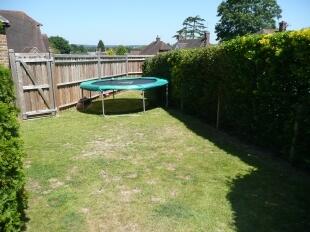 Garden (2)