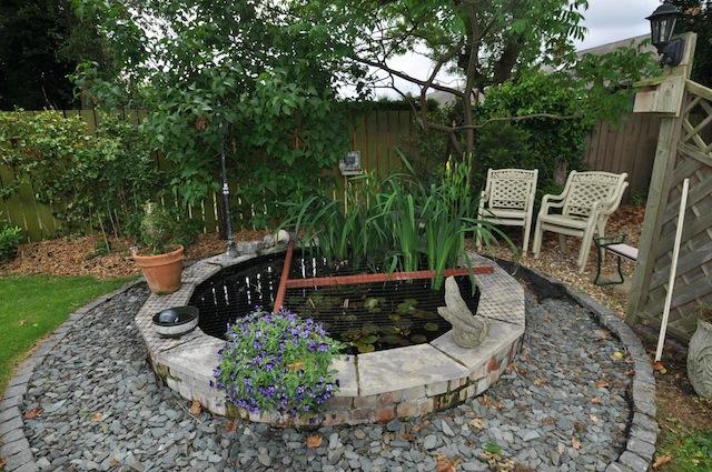 Pond
