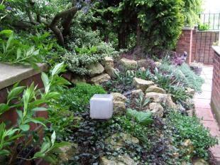 Side Garden