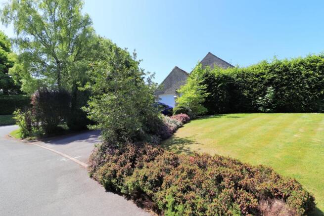 Front Garden