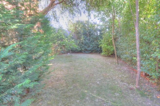 Garden.