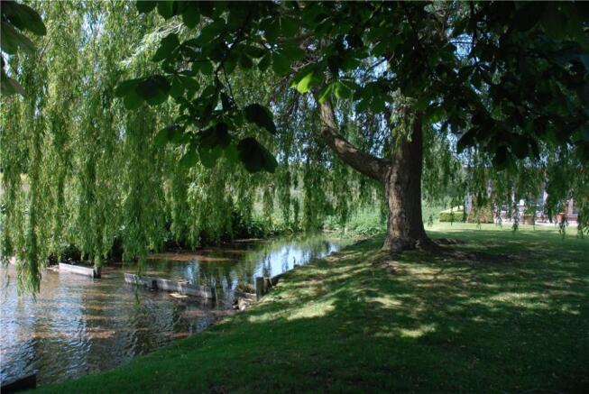 Watercress Beds
