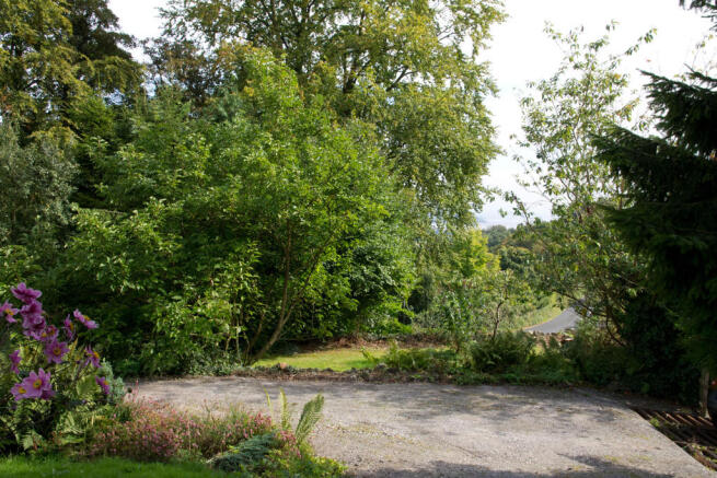 View from Garden