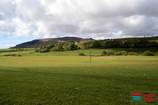 View from garden