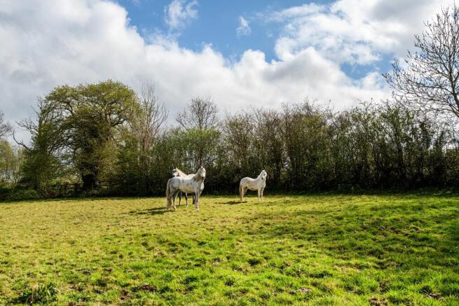 Pencader CARMARTHENSHIRE photo 4