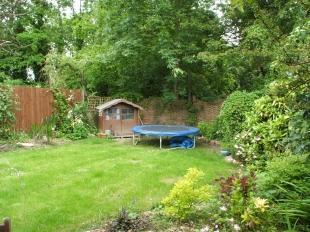 Garden Shot