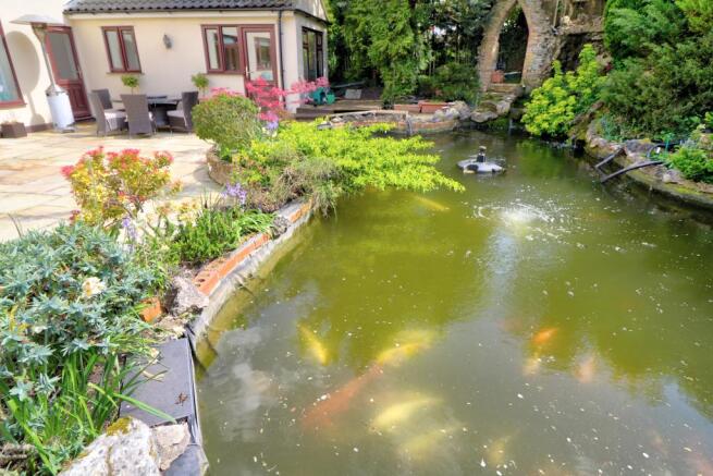 The Pond 3