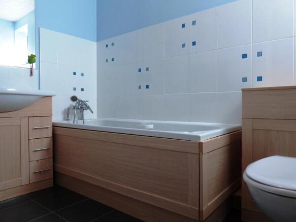 Picture 8