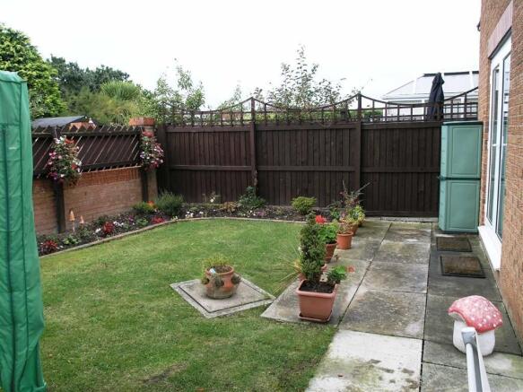 Photo 6