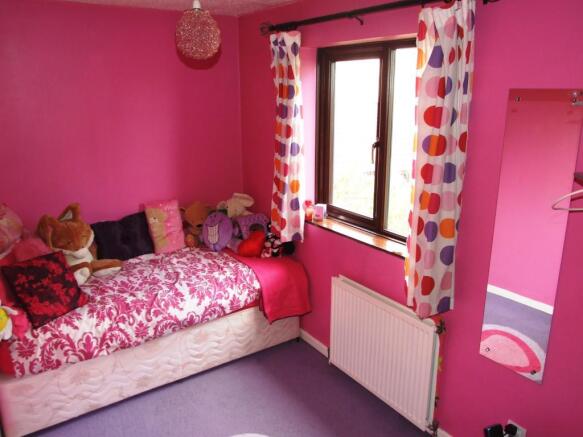 Picture 5
