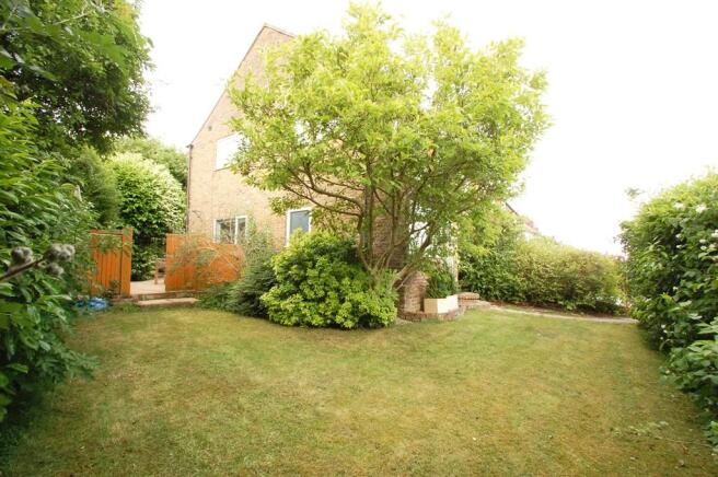 Side Garden