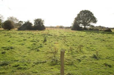 Paddocks
