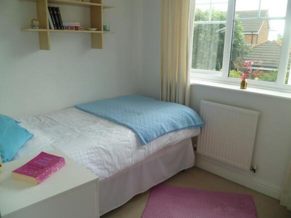 Image 11