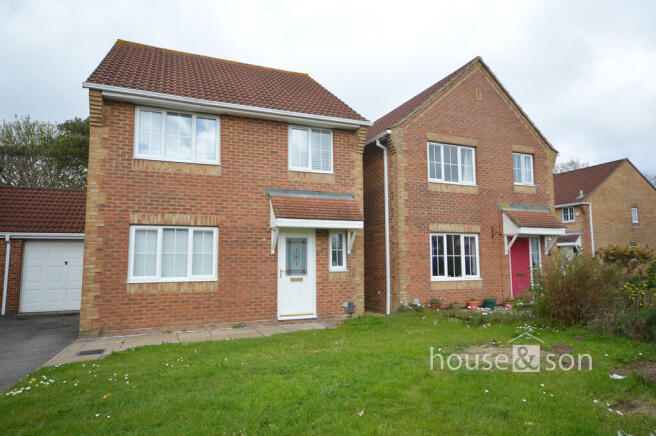 DSC_0249 - Copy -...