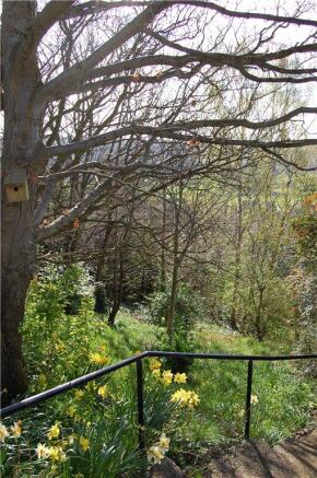 Woodland Garden