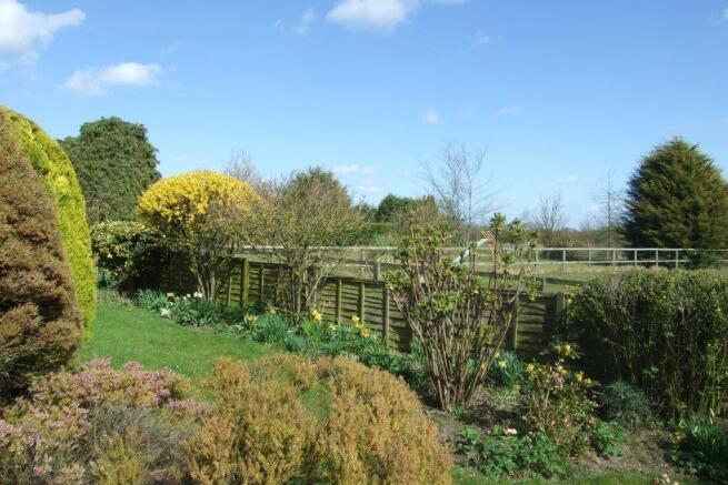 Rear garden 2