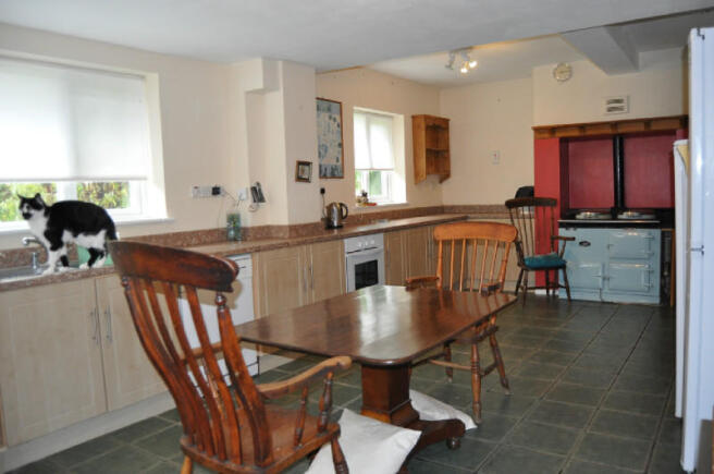 Picture 5