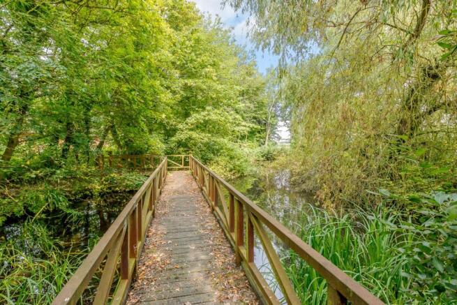 Bridge