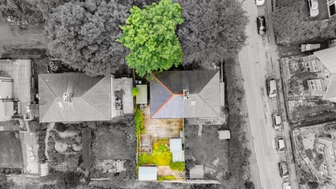 Ariel Shot