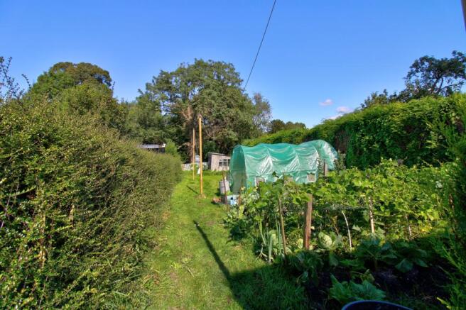Veggie patch