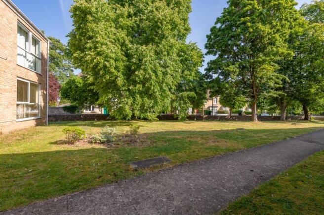 Communal Garden