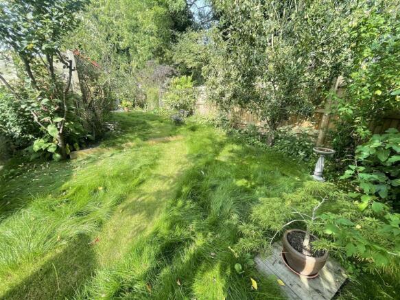 garden2.JPG