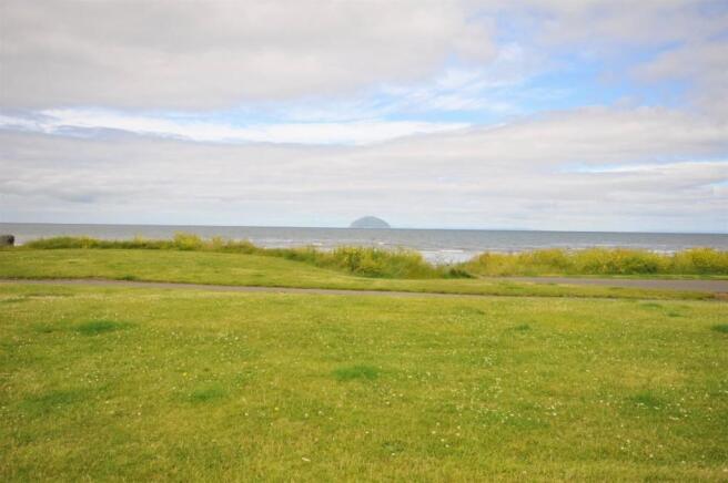 View from garden