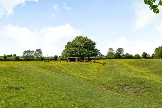 Clare Common