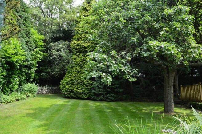 REAR GARDEN UP...