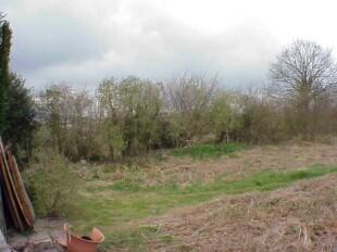 Fields from Rear Gdn