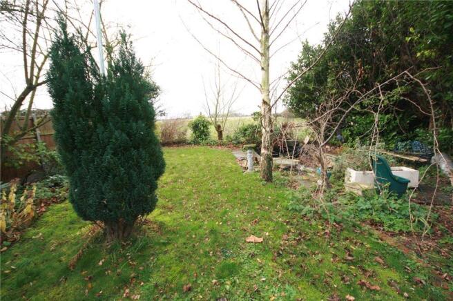 Garden 1