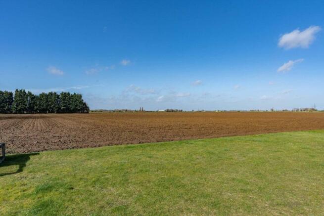 Open Field Views