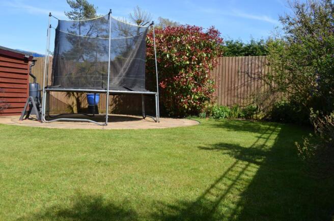 Garden at Back