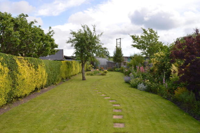 Photo 24
