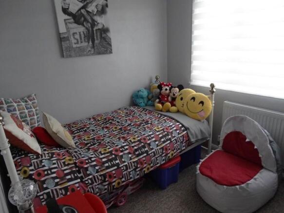 photo11