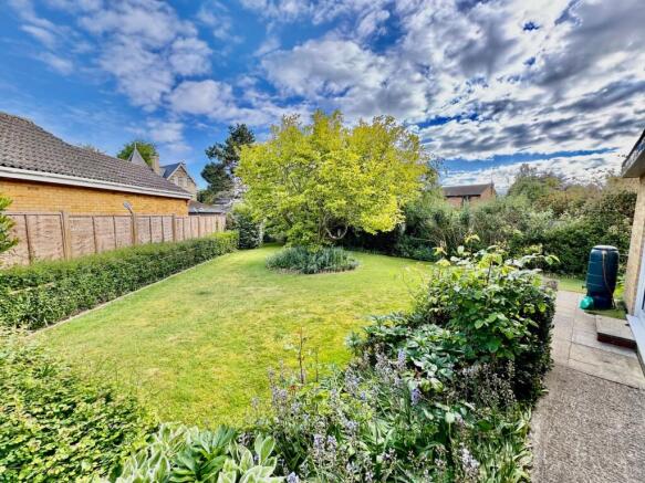 Garden & Magnolia Tree