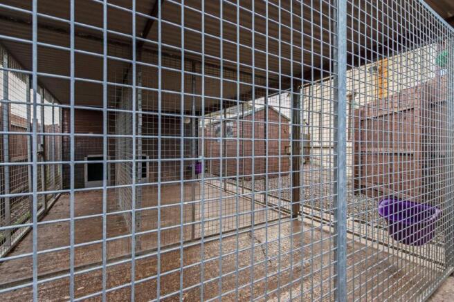 Kennels