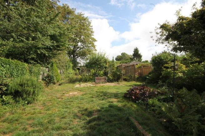 .garden.JPG
