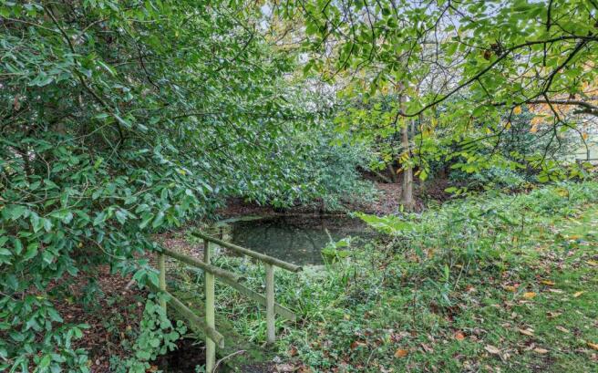 Pond