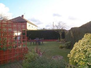 Side Garden