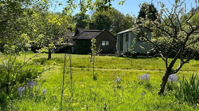 Spring Gardnen