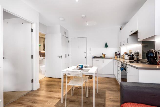 Living Area/Kitchen