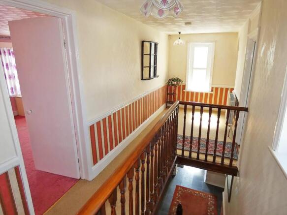 IMAGE 11