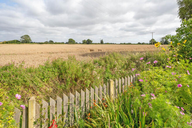 Field View