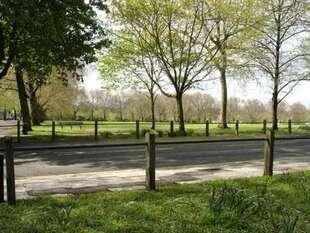 Park